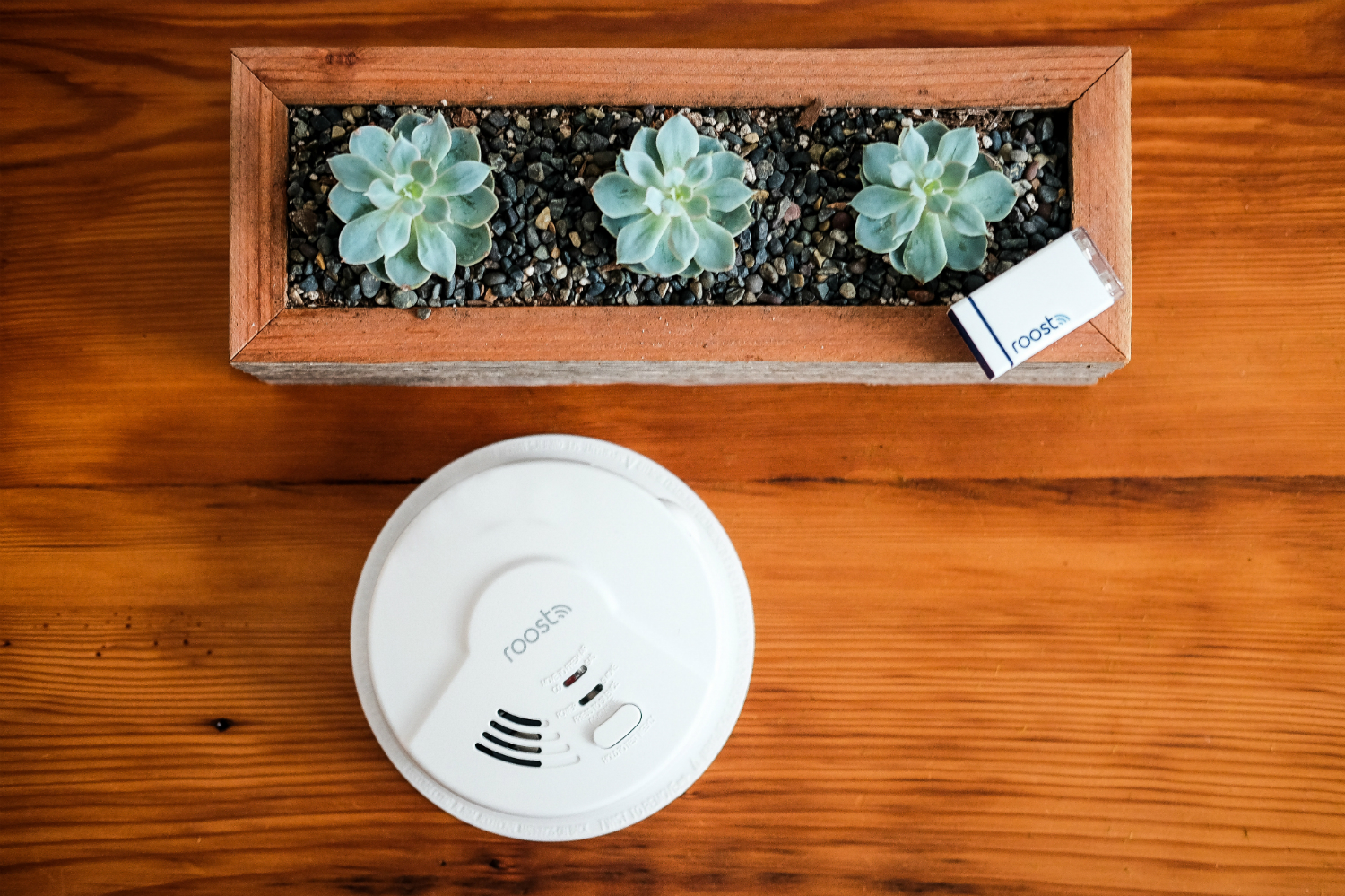 the roost smart smoke alarm detects fire co and natural gas rsa 400 with rsb succulent