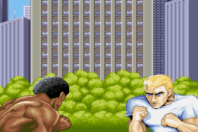 street fighter 2 characters mystery ii intro