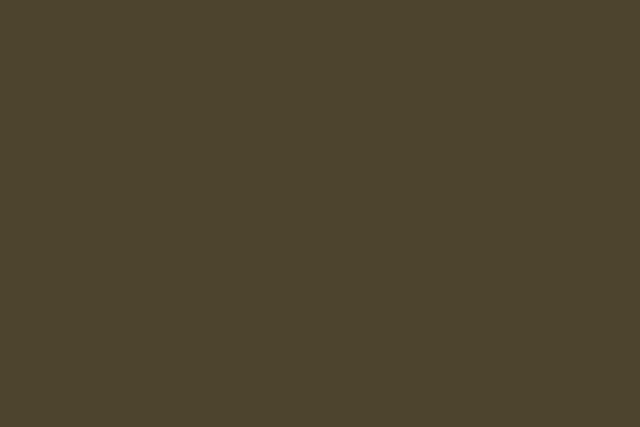pantone 448 c ugliest color worts