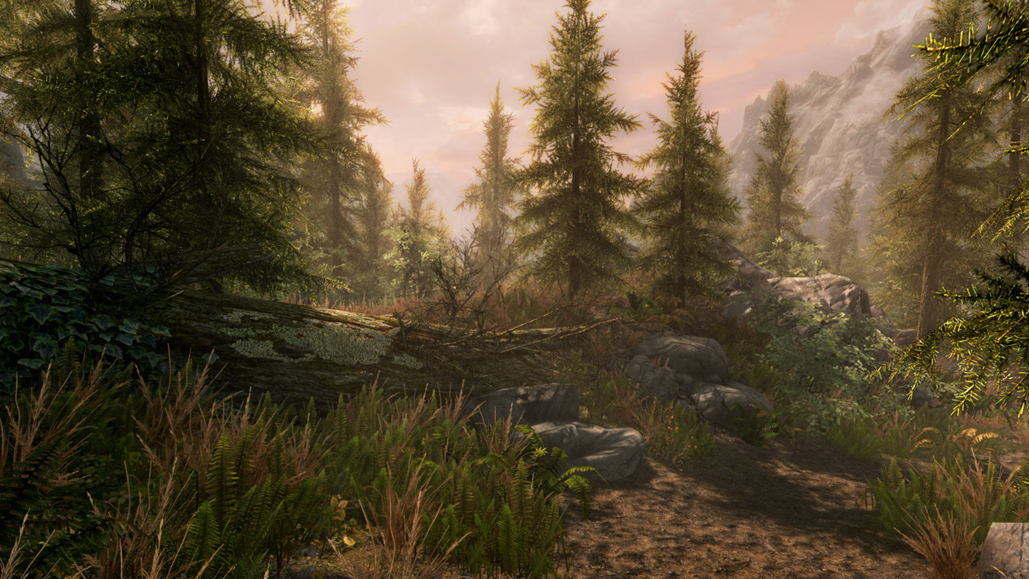 Skyrim Special Edition screenshot
