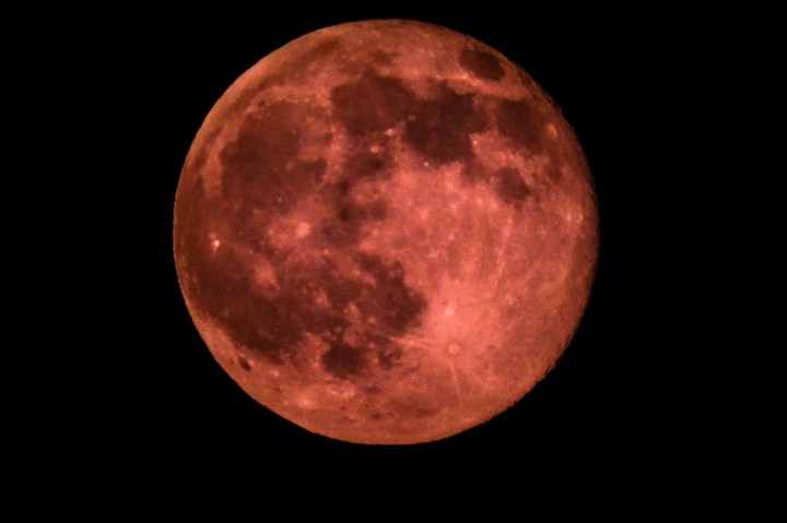 summer solstice full moon strawberry 30668659