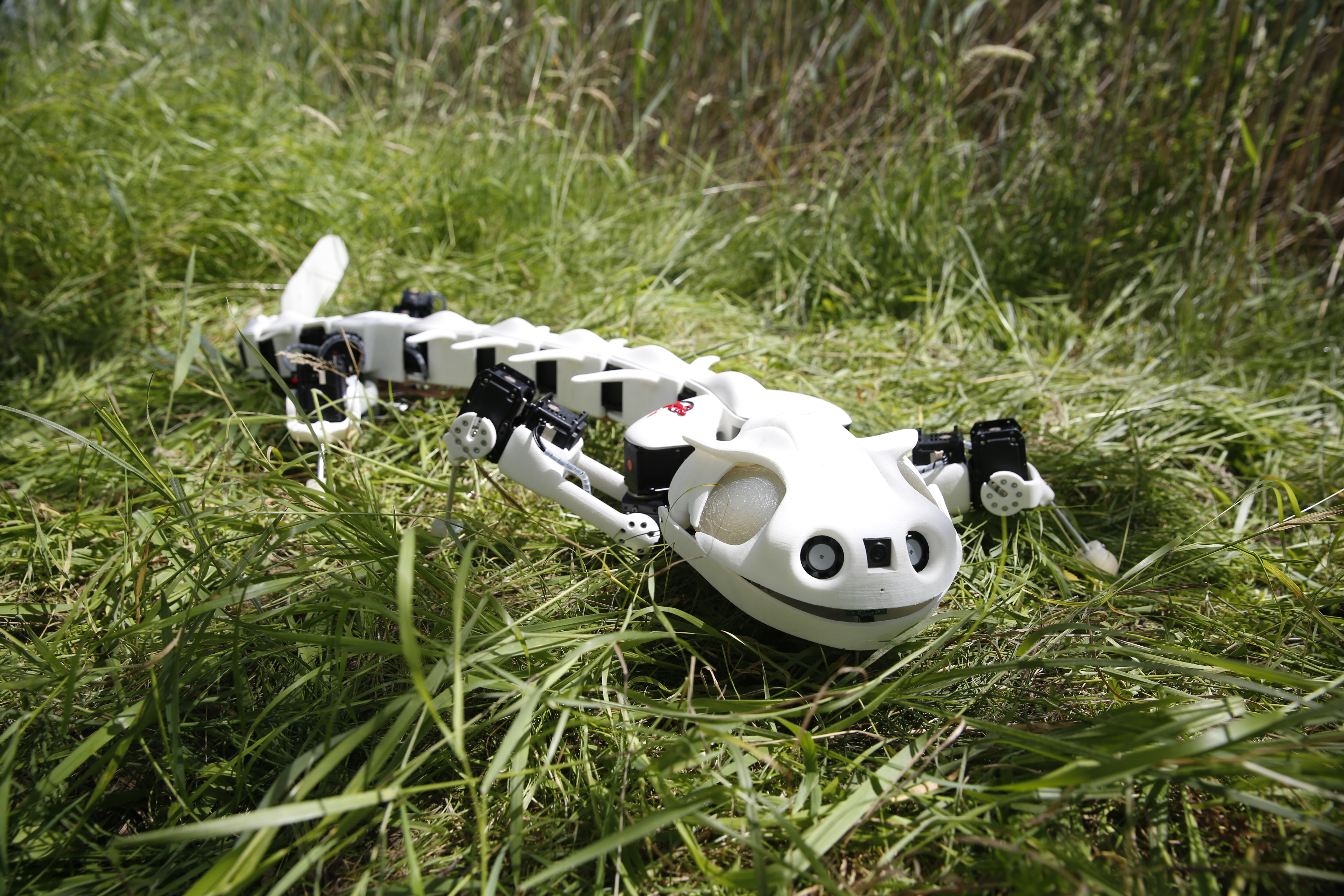 robot salamander switzerland x3a9216