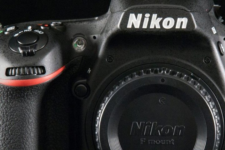 nikon large sensor full frame mirrorless rumor f mount