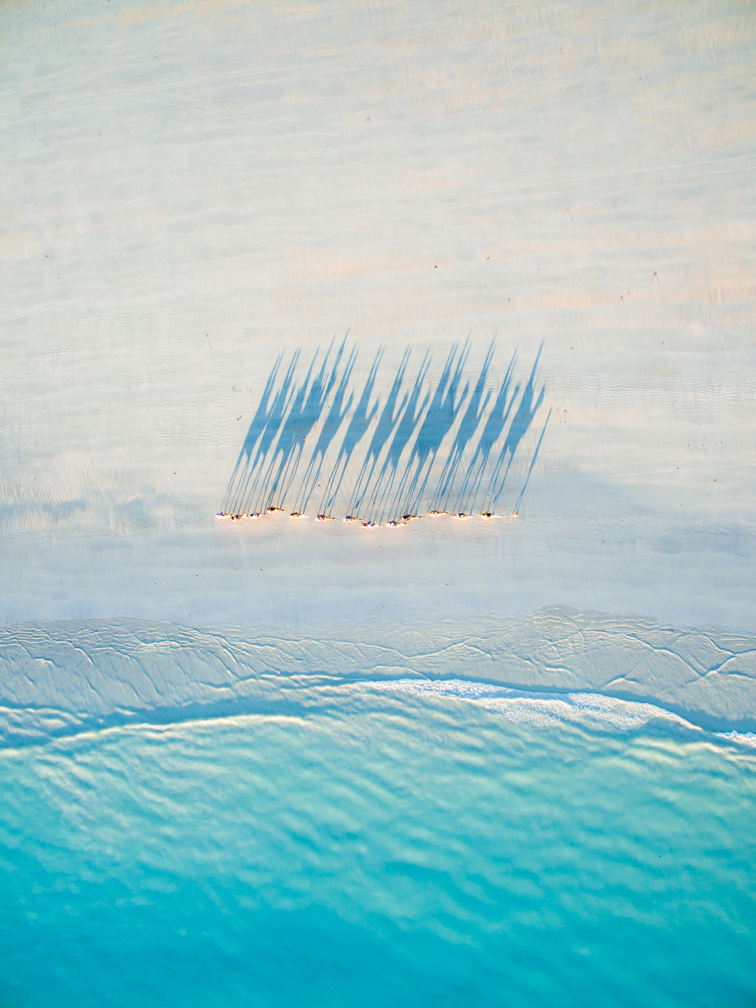 dronestagram 2016 contest beach camel caravan
