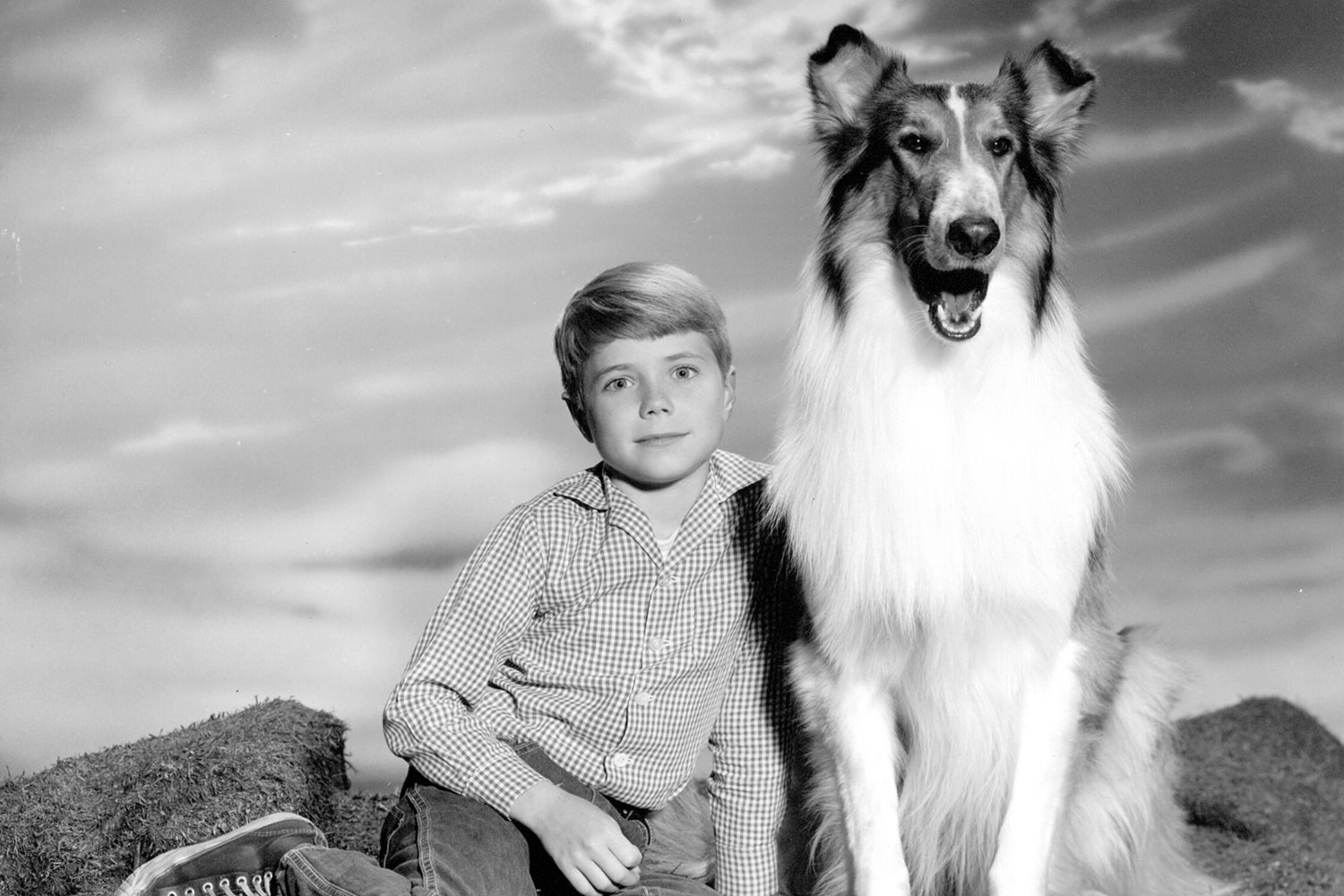 longest running scripted primetime tv shows us lassie  1954