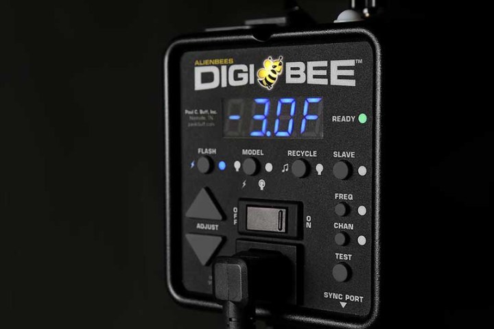 digibees introduced digibee