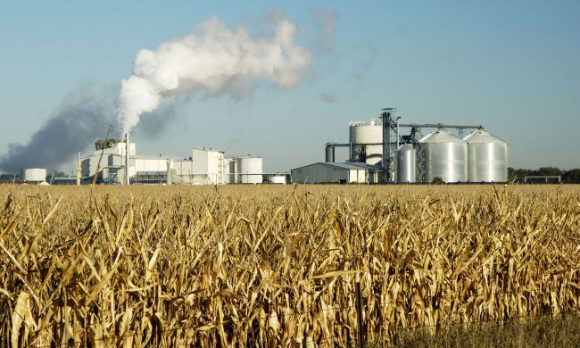 the truth about ethanol in your gas production plant