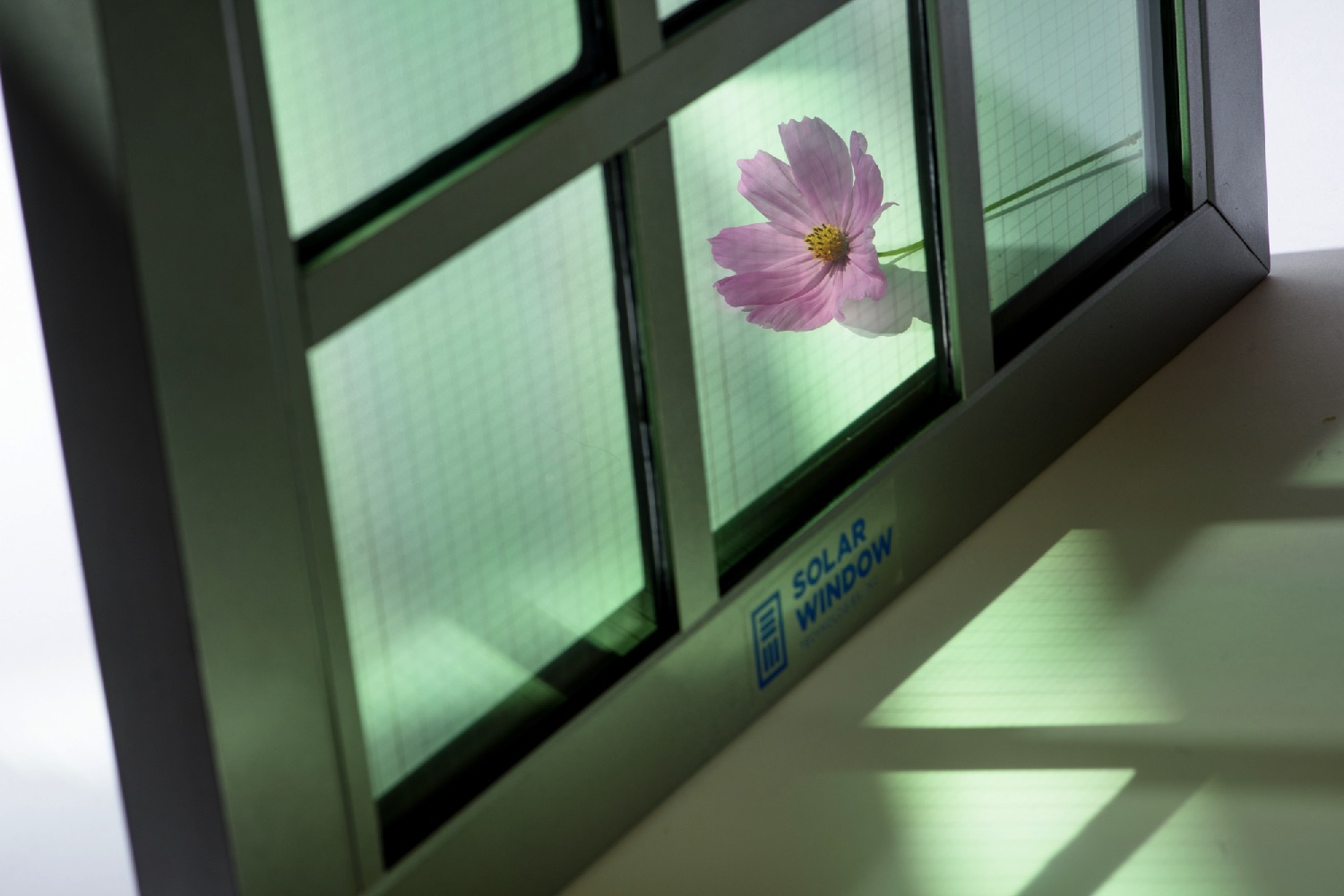 solar windows 50 times more effective pink flower sw