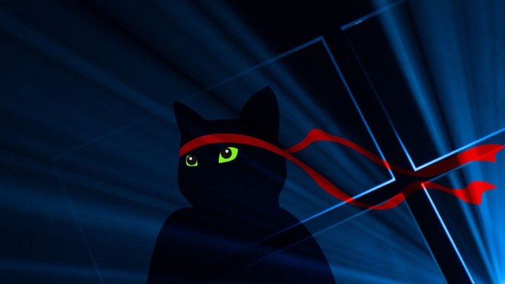 windows insider build 14946 ninja cat feat
