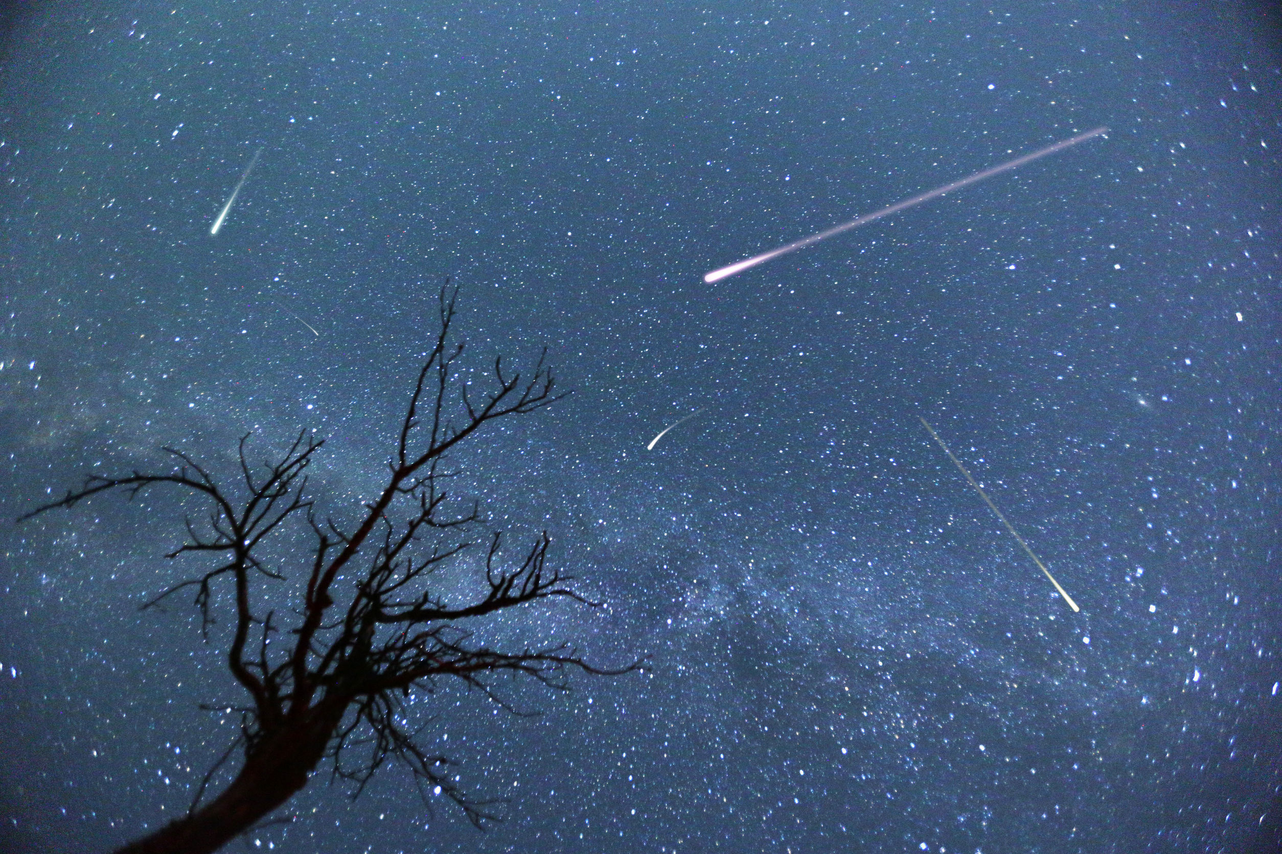 How to watch the Leonids meteor shower this weekend - Vimarsana News