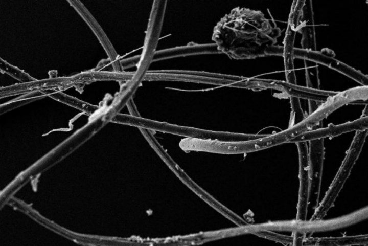 doing laundry poisons food chain acrylic fibers under electron microscope plymouth university