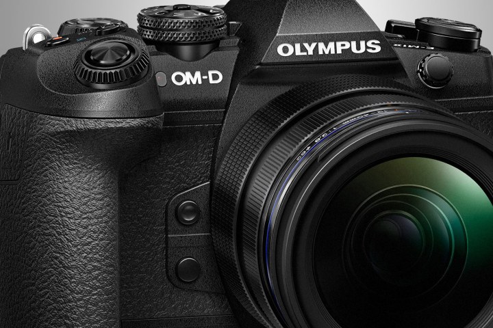 olympus global open photo contest 2016 om d e m1 mark ii