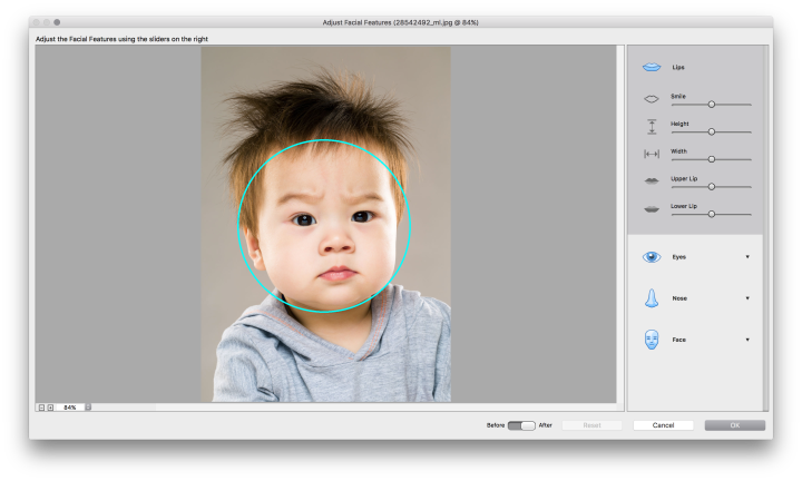 adobe photoshop elements 15 premiere released screen shot 2016 09 29 at 11 38 40 am