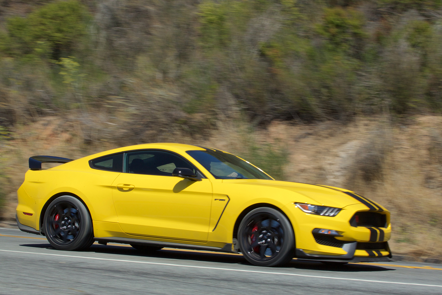 ford mustang history 2016 shelby gt350r