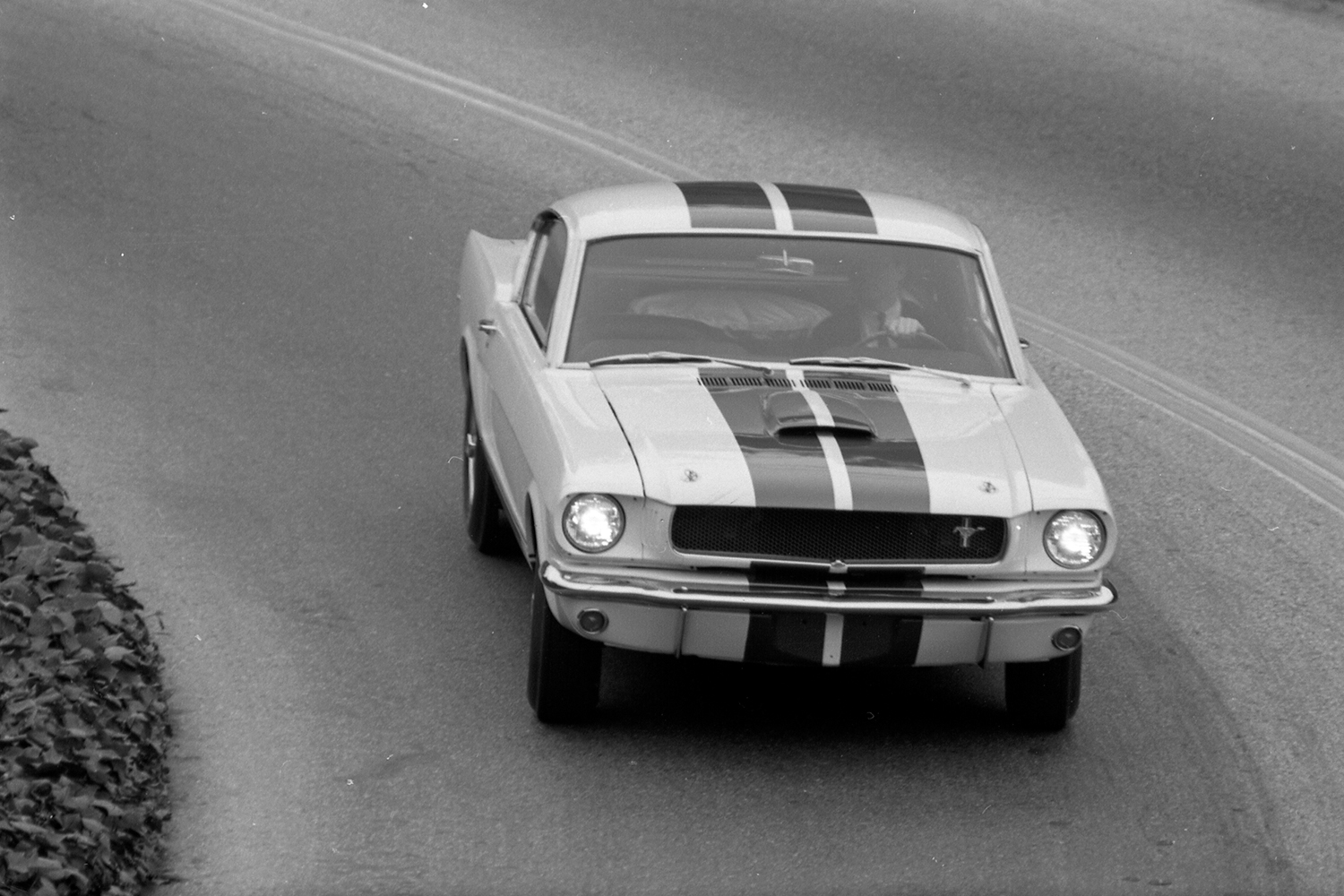ford mustang history 1965 5