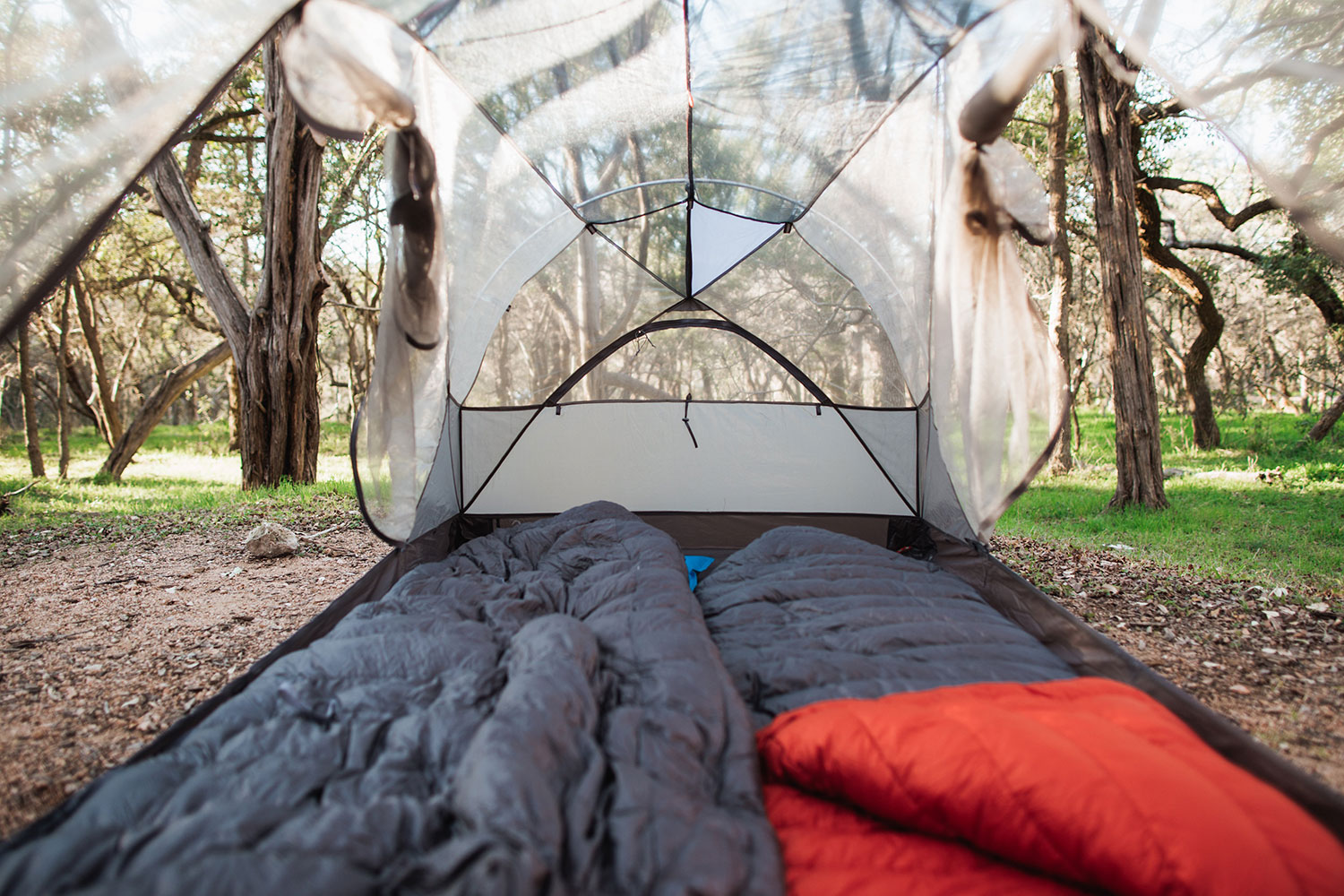 Tent Hammock 