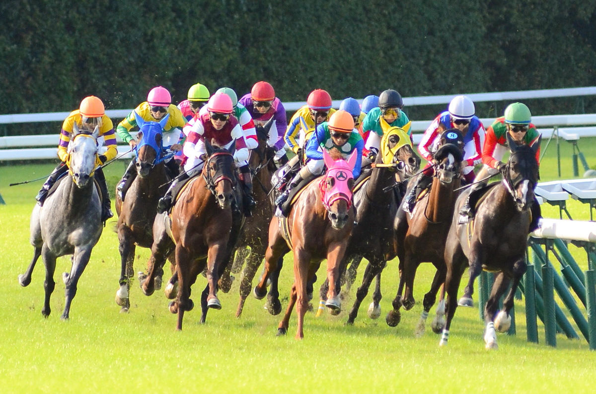 Twitter to live-stream one of the worlds biggest horse races Digital Trends