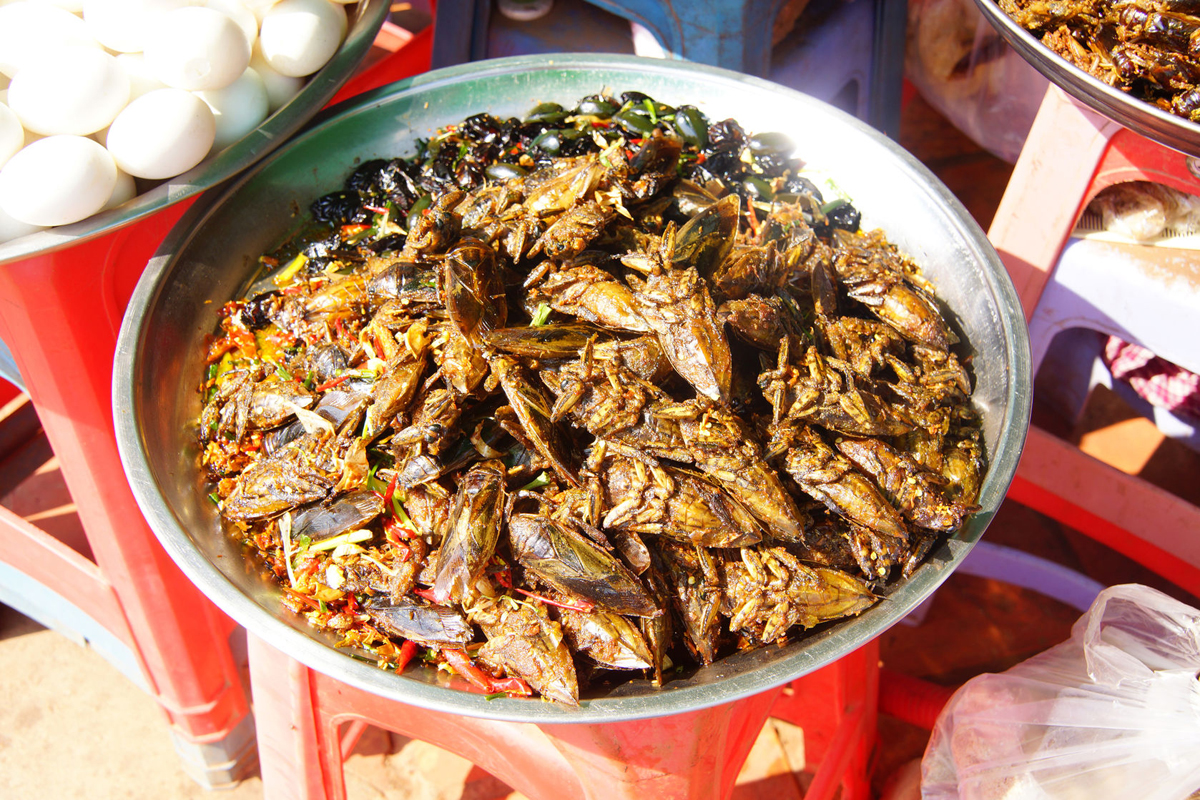 food industry experts predict future of 37425940  deep fried insects a traditional snack skoun cambodia