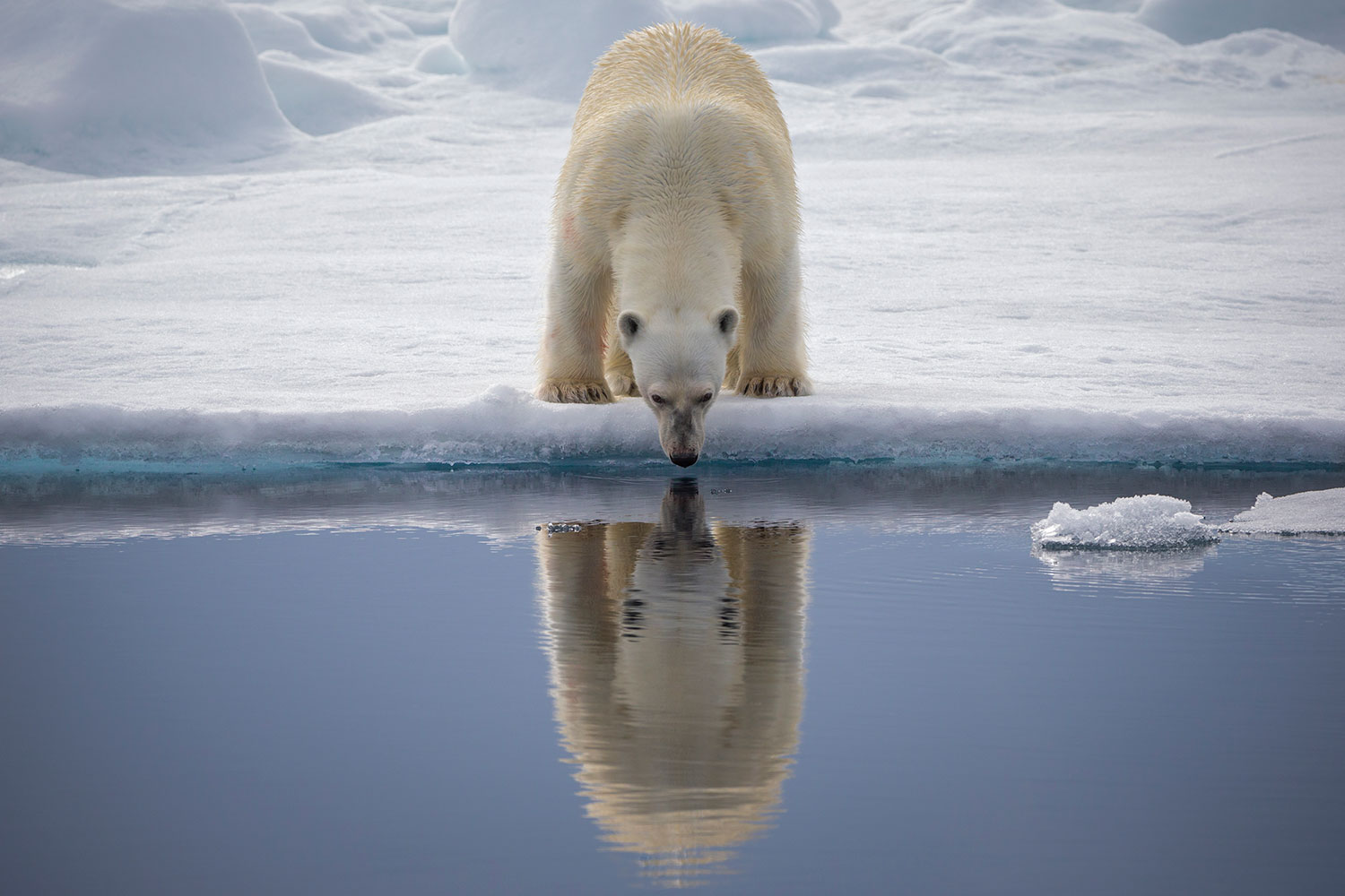how to photograph the arctic with joshua holko interview h9p2423 edit