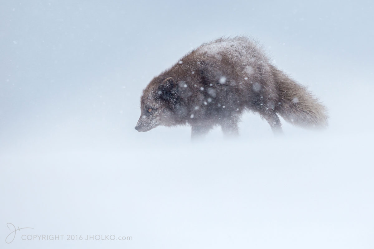 how to photograph the arctic with joshua holko interview hornvik 9830 edit