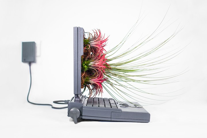 making plant based art is good way to use old macs your mac powerbook