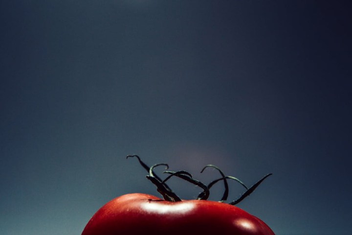 foods you should not put in the refrigerator tomato header