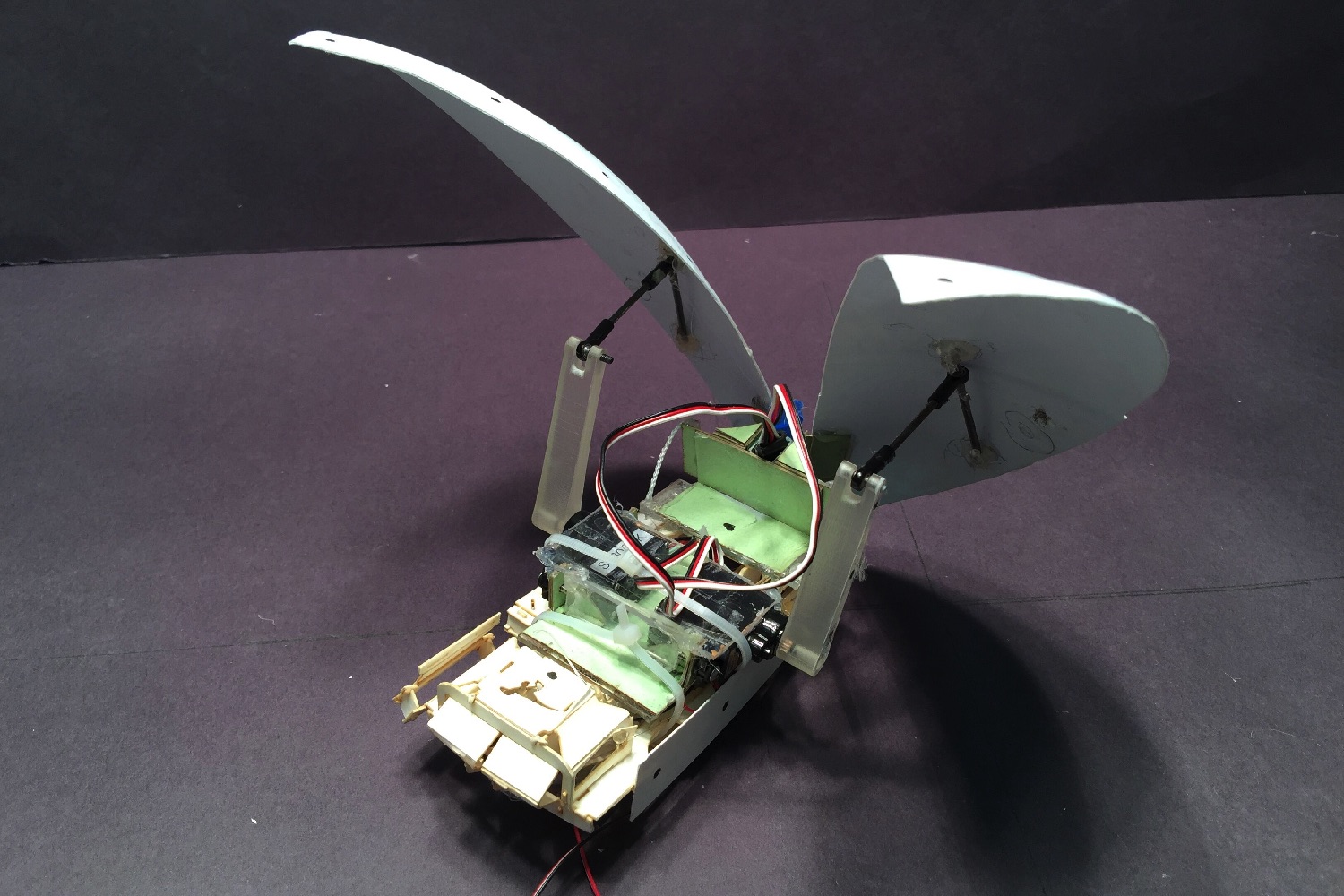 cockroach robot flaps its wings cockroach1