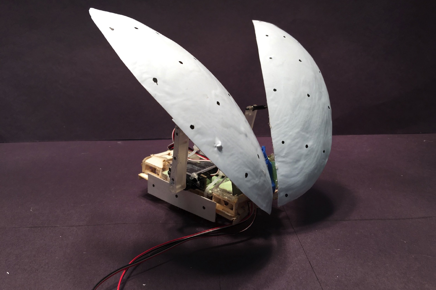 cockroach robot flaps its wings cockroach3