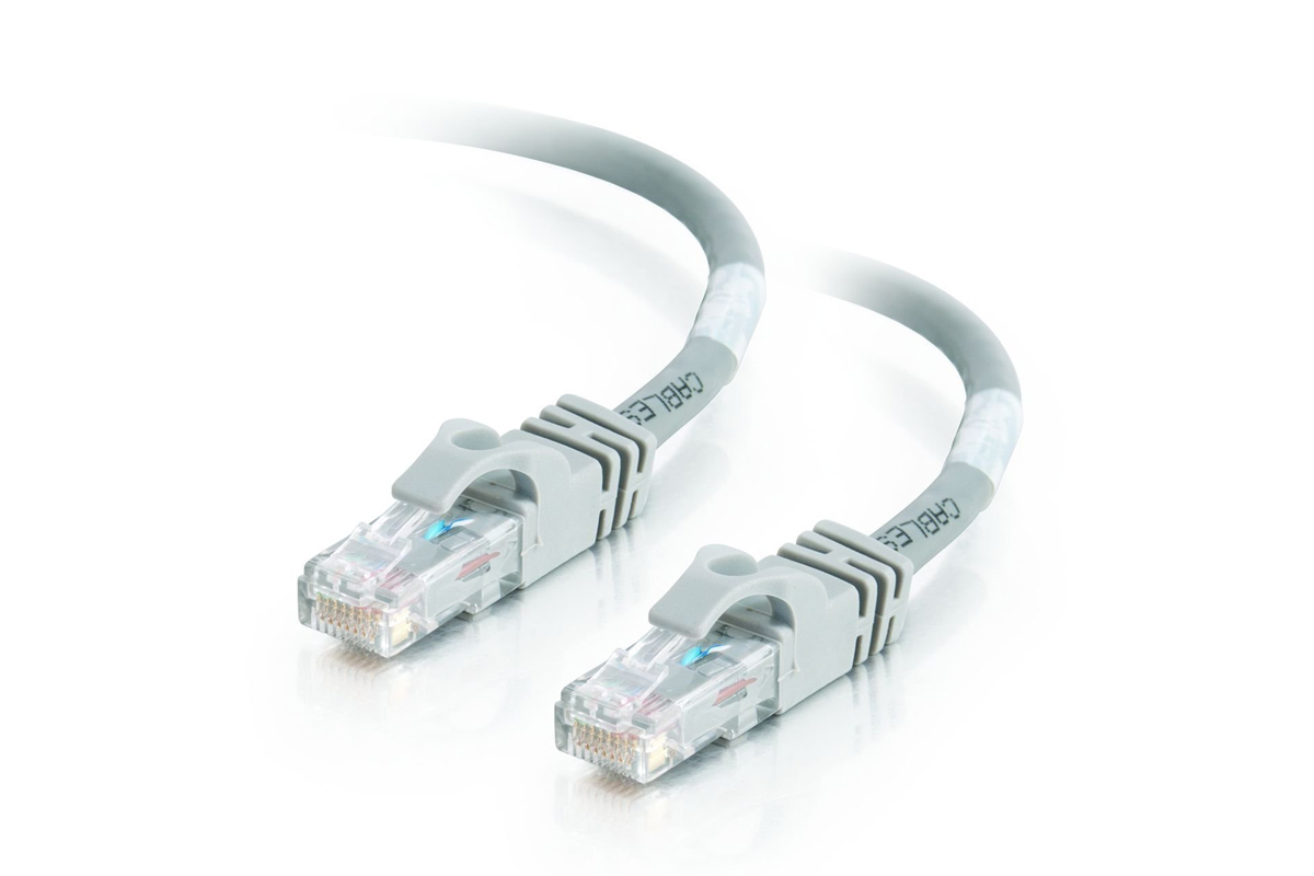 Close up of two white ethernet cable plugs.