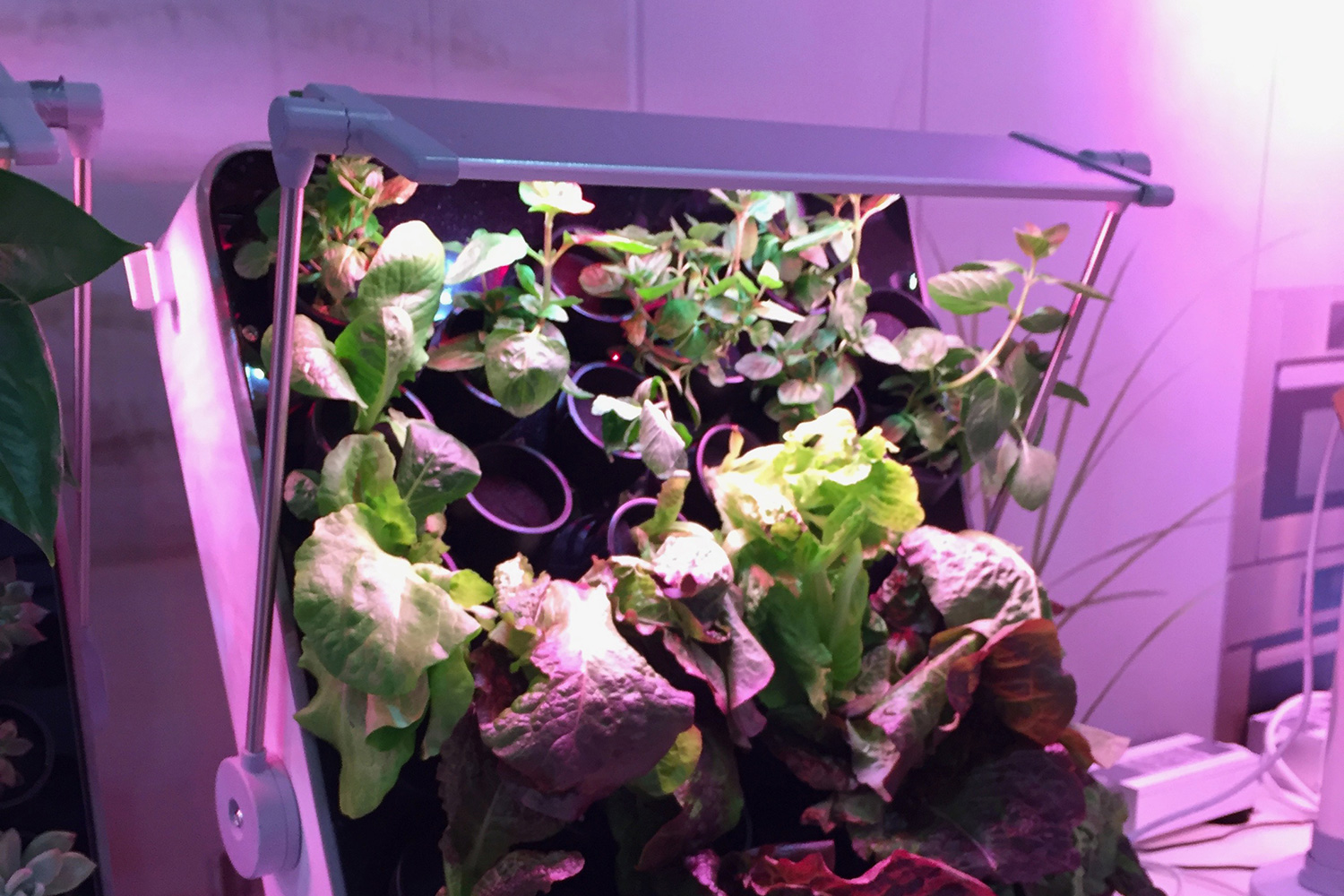 smart indoor garden opcomlink ces 2017 growframe 06