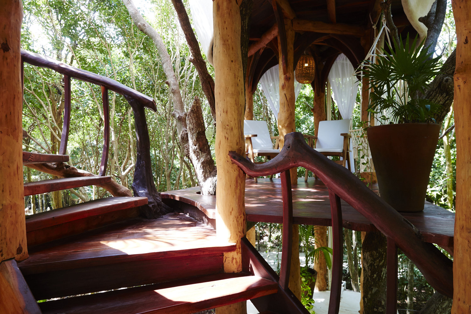 Papaya Playa Project Treehouse