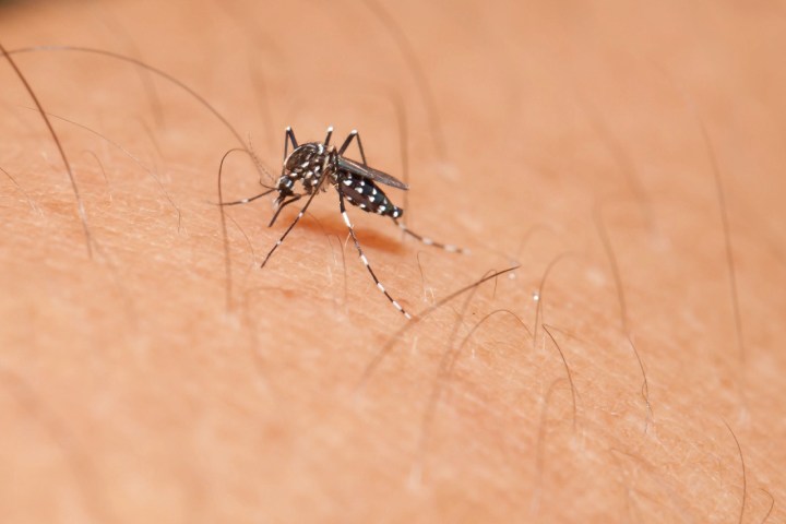 new zika virus vaccine 48420072 l