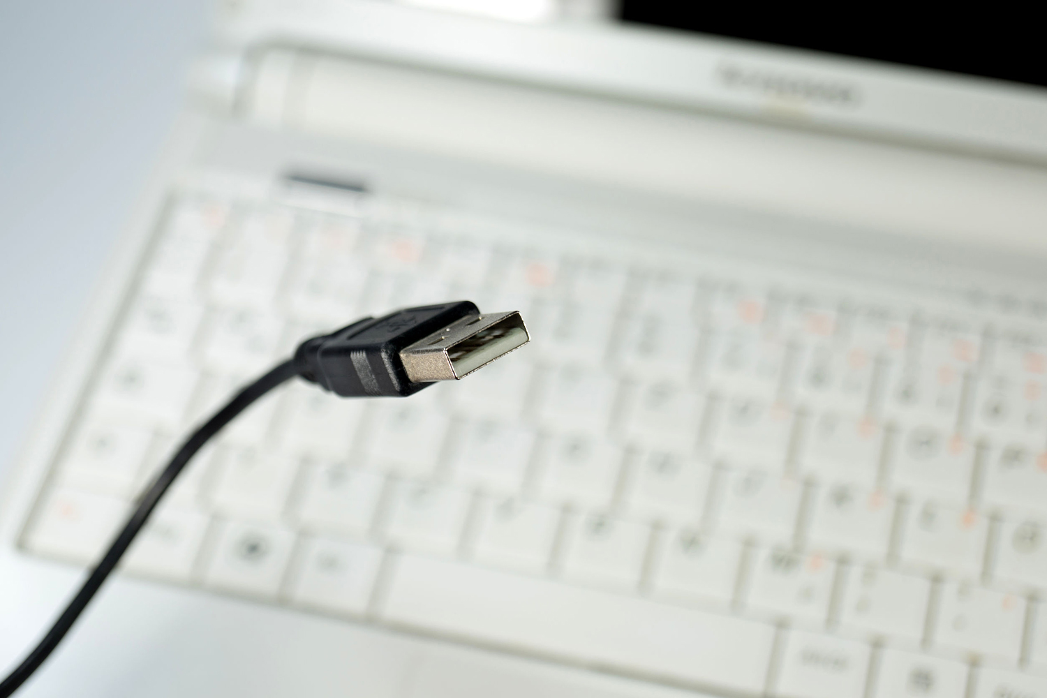 A USB-A cable.