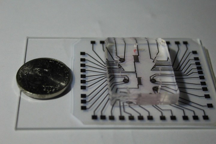 low cost lab on chip img 2412