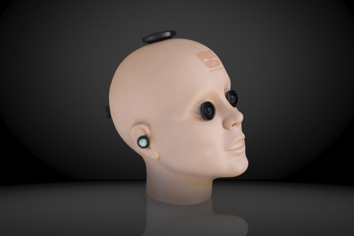 VR Bangers Mannequin Head