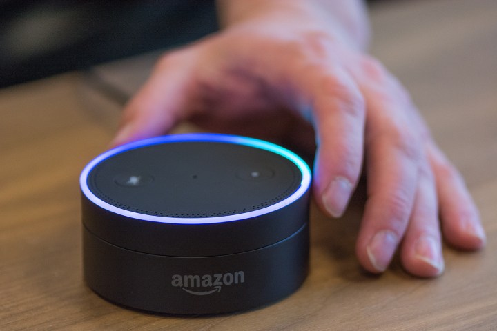 Amazon Echo Alexa