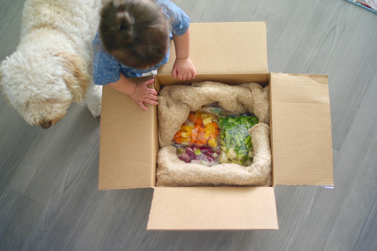 thistle baby meal kit