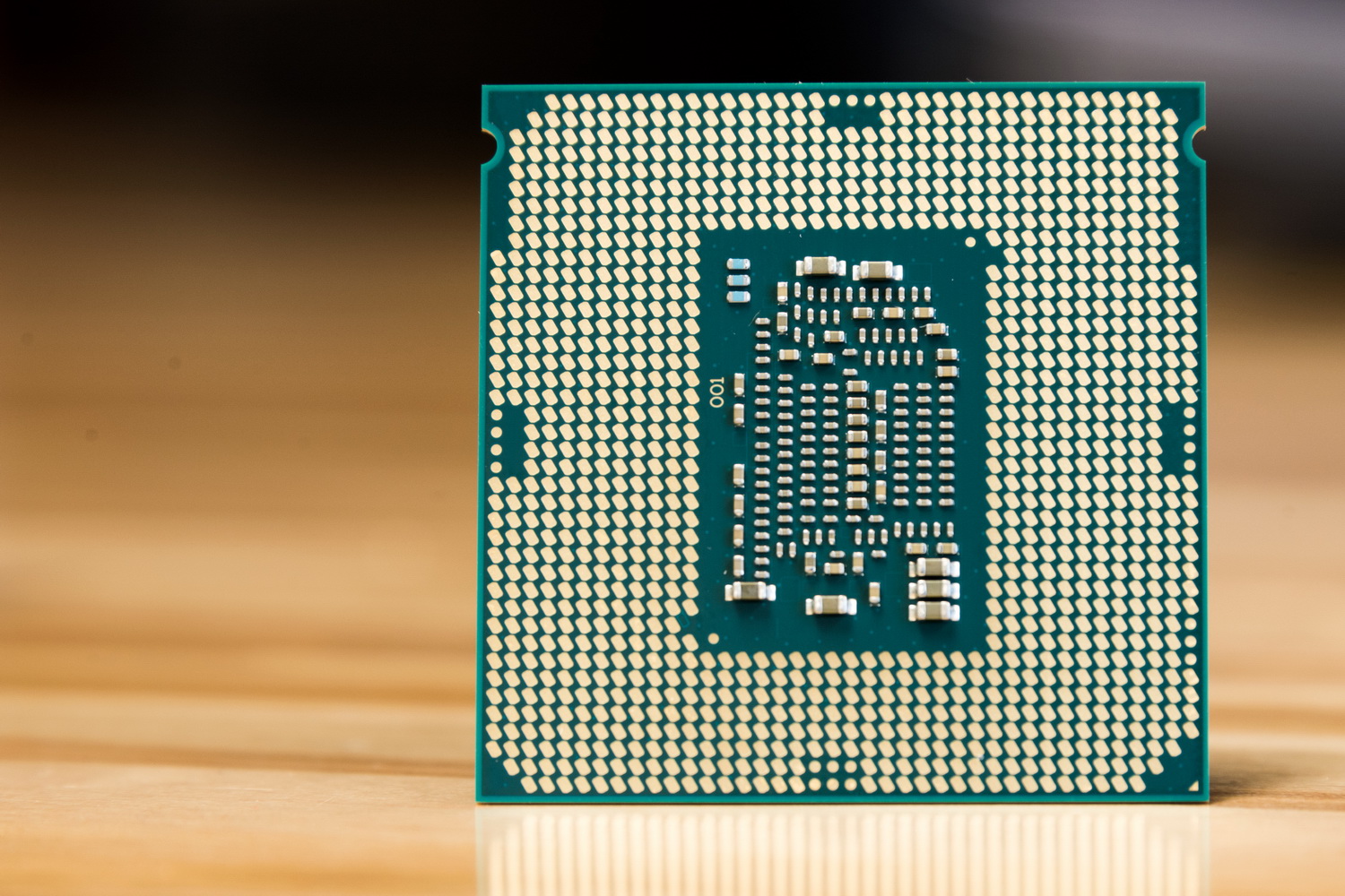 Almohadillas en la parte inferior de la CPU Intel.