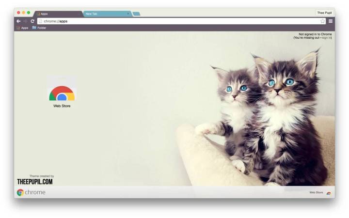 Kittens Chrome theme.