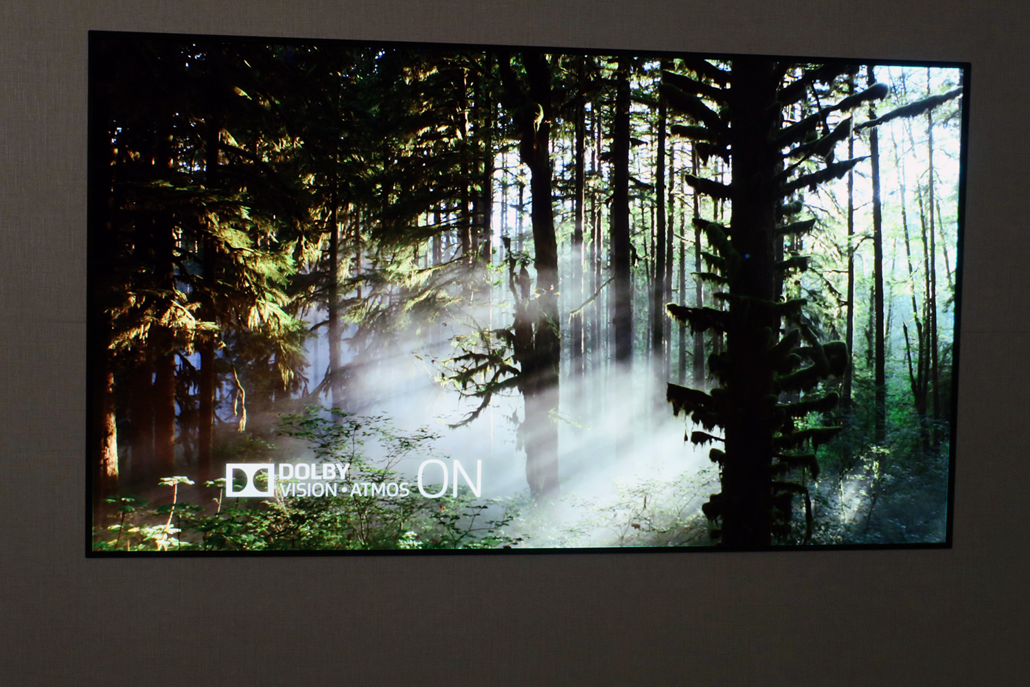 LG Signature OLED65W7P W7 Wallpaper OLED TV Review | Digital Trends