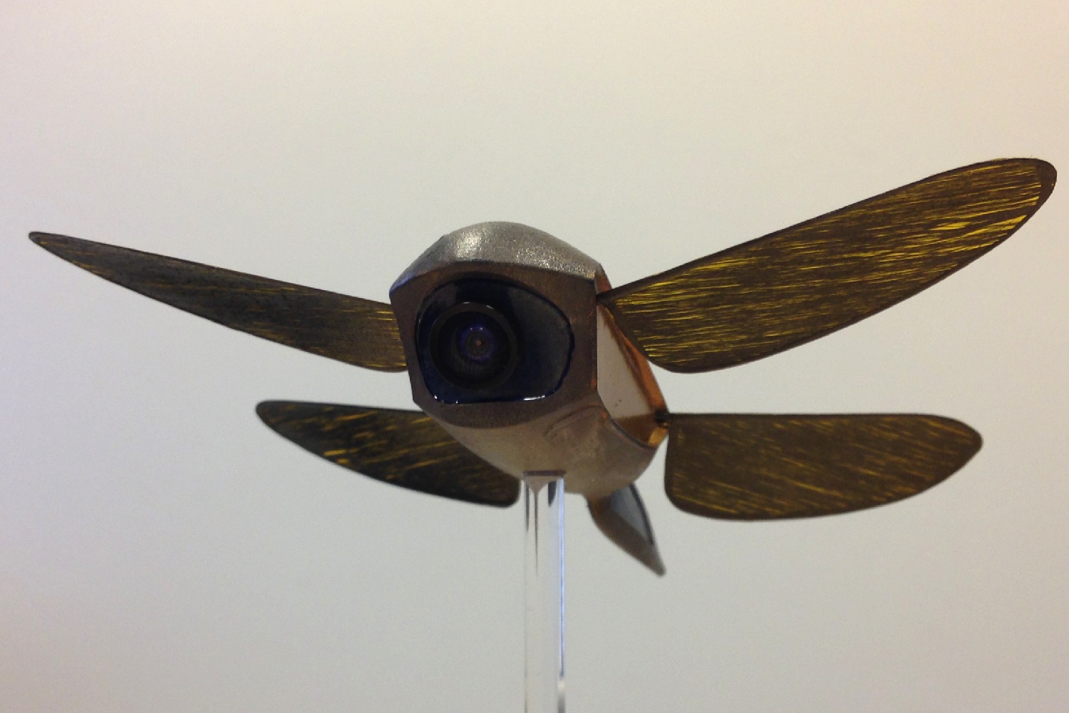 Microdrones Insect Tiny Microdrone is Inspired by One of the Most Deadly Hunters in the ...