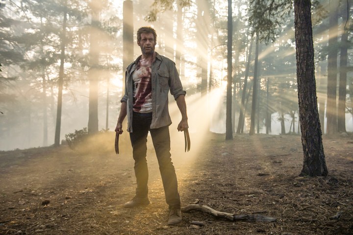 Wolverine stands in a forest in Logan.