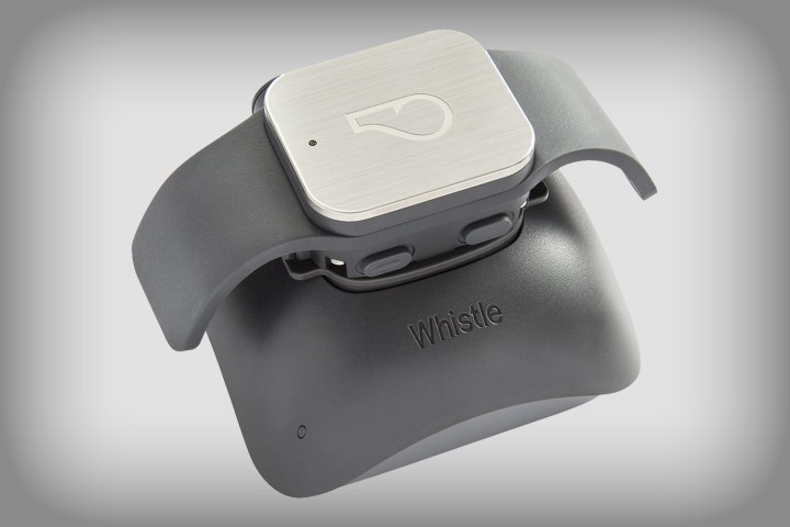 whistle gps pet tracker deal 4611500cv11d