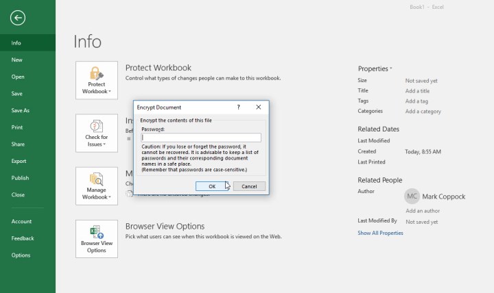 Excel prompting user to create and enter in a password for document.