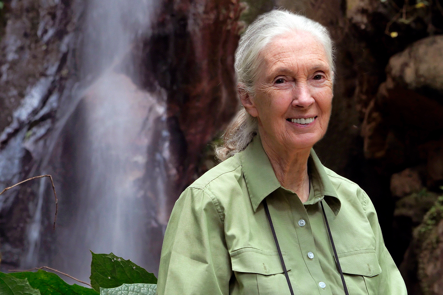 how google earth helped jane goodall save chimps oth0163 05 dg