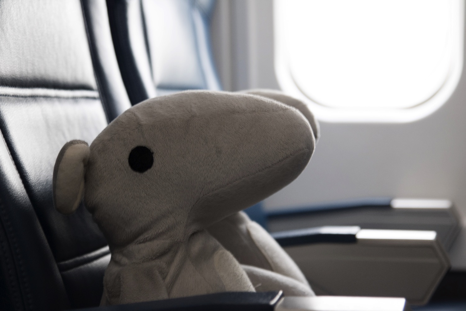 parihug stuffed animal kickstarter pari airplane passenger