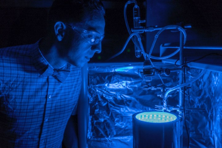synthetic material clean air photosynthesis uribeblue