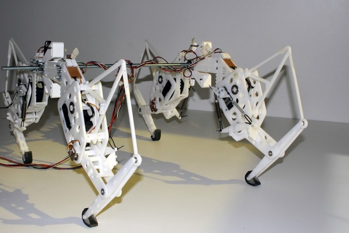 robot cheetah prototype freeq 2