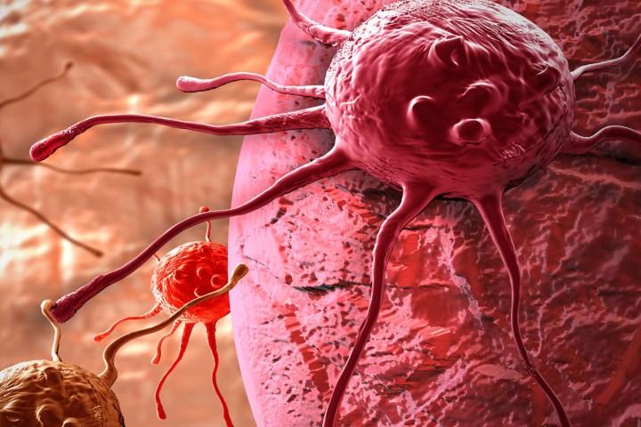 artificial virus kills cancer cells cell