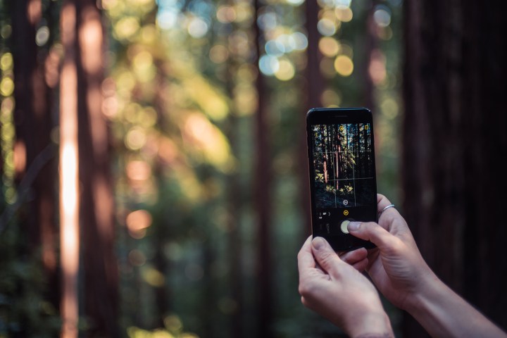 halide launches in app store redwoods